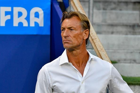 Herve Renard Confirms Snubbing Super Eagles Coaching Job